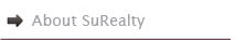 About SuRealty Title